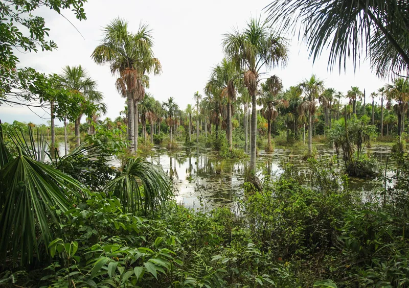Vista de Nova Mutum, Mato Grosso