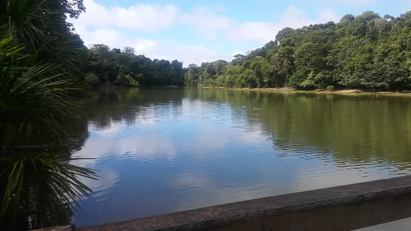 Vista de Sinop, Mato Grosso