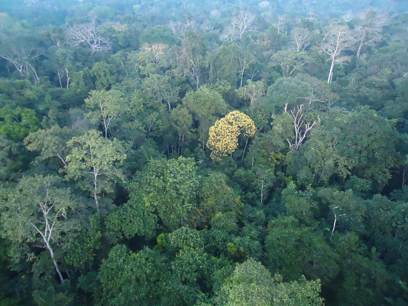 Vista de Alta Floresta, Mato Grosso